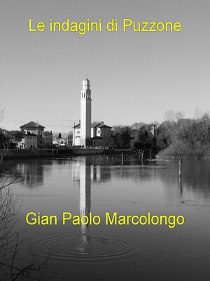 cover image of Le indagini di Puzzone